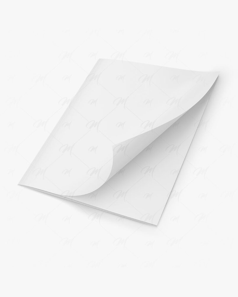 Mockup Revista PSD